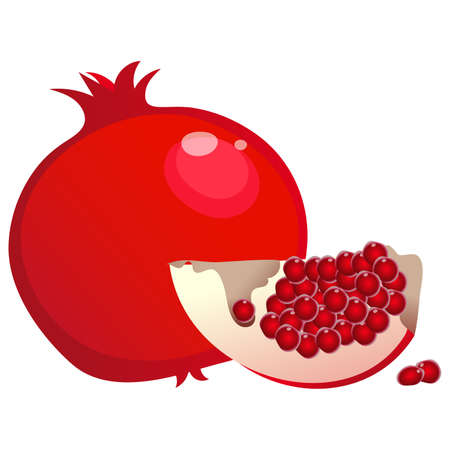 Color image of garnet or pomegranate on white background. Fruits and berries. Vector illustration.のイラスト素材