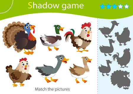 Shadow Game for kids. Match the right shadow. Color images of farm animals. Poultry. Turkey, goose, duck, Drake, hen, rooster. Worksheet vector design for children and for preschoolers.のイラスト素材