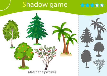 Shadow Game for kids. Match the right shadow. Color images of trees. Birch, Rowan, apple tree, palm, pine, fir. Worksheet vector design for children and for preschoolers.のイラスト素材