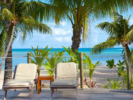Two plank beds on the seashore near palm treesの写真素材