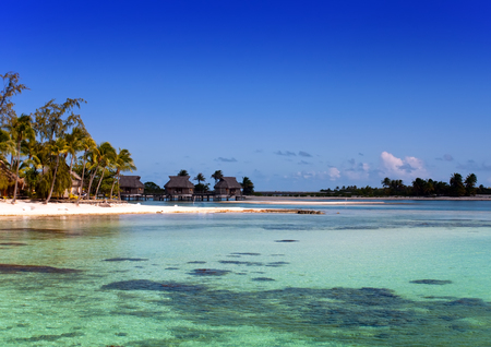 Polynesian landscape - seacoast with palm trees and small houses on waterのeditorial素材
