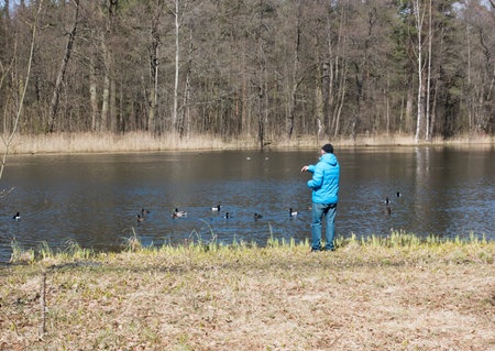 the man throws to ducks bread, feeds ducks on the bank of the lake
