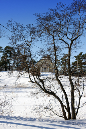 Old wooden house on the Finnish forest in winter

の写真素材