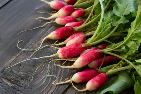 Fresh young radish on wooden boardsの写真素材