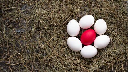 White and red eggs in a straw nest on a wooden background, rustic style, top view, space, horizontalの写真素材