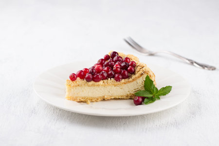 A piece of curd royal cheesecake on a white plate decorated with cranberries, mint and sprinkled with powdered sugar on a light gray backgroundの写真素材