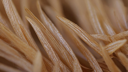 Close-up of fibrous plant texture with natural lines and structure. Ideal for organic, eco, textile, or abstract nature themes.の素材