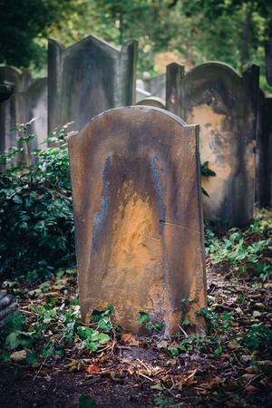 Historic Old Jewish cemetery in Wroclaw, Polandの写真素材