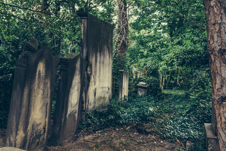 Historic Old Jewish cemetery in Wroclaw, Poland. Background for halloween design and textの写真素材