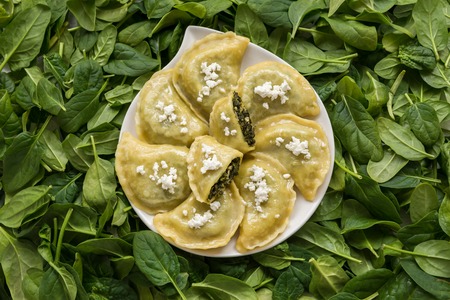 Dumplings with spinach and white cheese.の写真素材