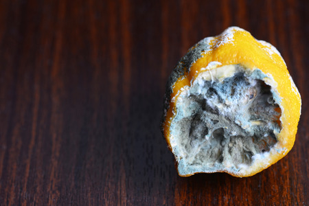 the lemon in the mold on the tableの写真素材
