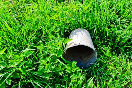 pail lying on green grassの写真素材