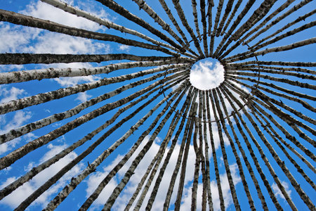 birch trees in a circle on the sky background