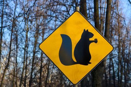 road sign of protein against treesの写真素材