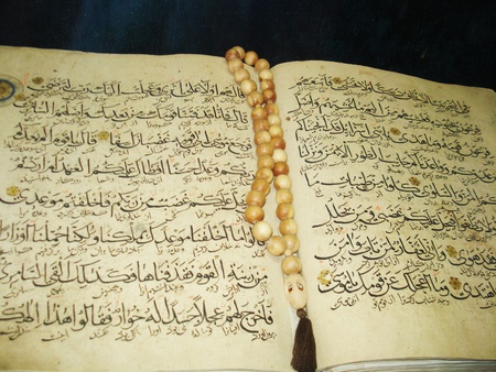 foliantの写真素材