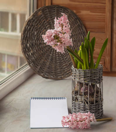 Pink hyacinth and notebook with a blank page on the windowの写真素材