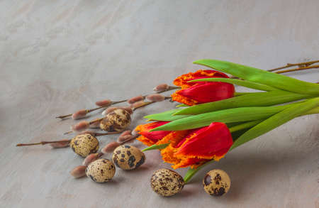 Easter bouquet of  tulips and willow twigs  and quail eggs.の写真素材