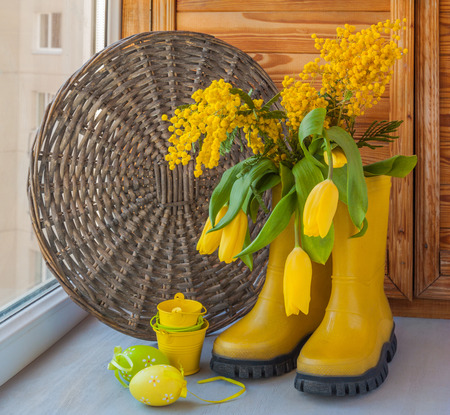 Yellow mimosa and tulips in yellow rubber boots next to Easter eggsの写真素材