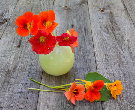 Nasturtium (Kapuzinerkresse - Tropaeolum majus) flowers  on a wooden tableの写真素材