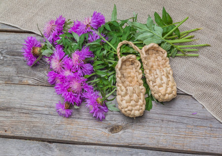 Bouquet of purple cornflowers - (Centaurea dealbata Willd.) and bast shoesの写真素材
