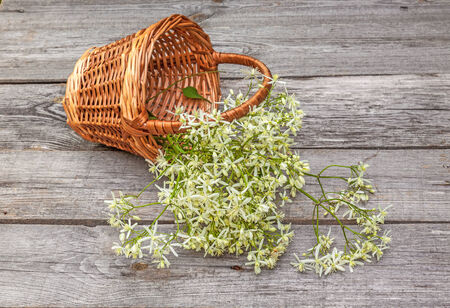 Meadowsweet flowers in a basket on a wooden backgroundの写真素材