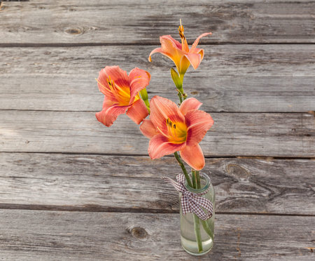Salmon-colored Daylily (hemerocallis) on a wooden backgroundの写真素材