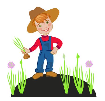 Farmers grow onions in the gardenのイラスト素材