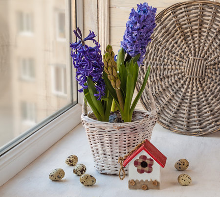 Easter composition on the window with eggs  and hyacinths in a basketの写真素材