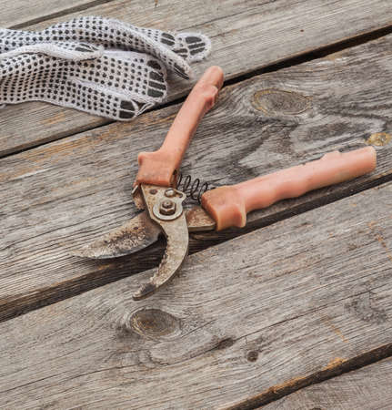 Garden pruner and gardening gloves on vintage wood board agriculture concept.の写真素材