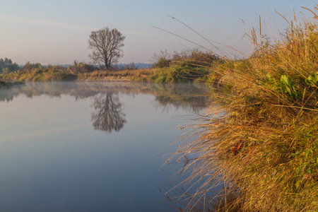 Foggy sunrise on a small river in Polesieのeditorial素材