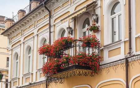 Balcony with  annuals pelargonium on Podil in Kievの写真素材