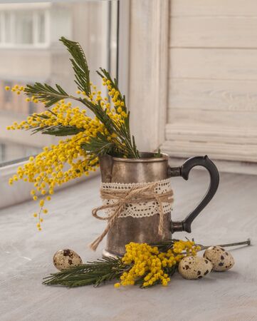 Mimosa in the pot and quail eggs on a windowの写真素材