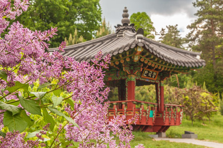 KIEV, UKRAINE-MAY 19,2018: Kyiv Botanical Garden named Grishko, exhibition "Korean garden" Pavilion (Pagoda) is similar to pavilion "Aeryundzhun", located in Palace Changduk in Seoul, Korea.のeditorial素材