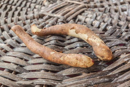 Gloriosa tuber on a wicker circleの写真素材