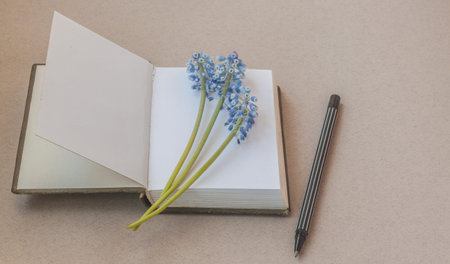 A notepad with blank pages, three muscari flowers and a pen on the table.