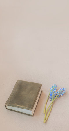 Vintage, old closed notebook and three muscari on a gray background. Background for banner, story, social media posts, verticalの写真素材