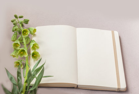 Open notebook or sketchbook and blooming fritillaria persica 'Ivory Bells' on a gray table. Flat lay. Background for a calendar, banner or social media post. Place for text.の写真素材