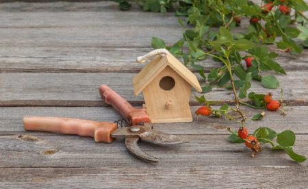 Secateurs, rosehip branch and decorative birdhouse on a wooden table. Concept of autumn traditions and gardening. Space for textの写真素材