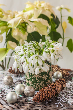 Winter composition of snowdrop (Galanthus nivalis), Silver decorative pillow, Calocephalus brownii or Leucophyta and Poinsettia with white leaves on a gray backgroundの写真素材
