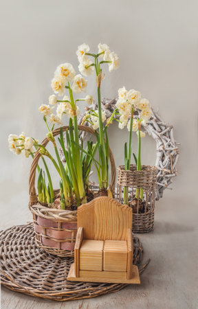 Flower pot-basket with blooming double daffodils (narcissus) "Bride's crown" next to Two-cube calendar with empty edges on gray background. Place for text. Background for cover, calendar, bannerの写真素材