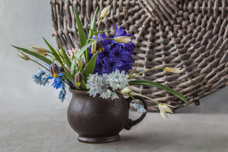 Spring bouquet in brown ceramic mug featuring a blue hyacinth, blue scilla, light blue puschkinia, Fritillaria uva-vulpis (fox's grape fritillary), and delicate botanical tulips on woven background.の写真素材