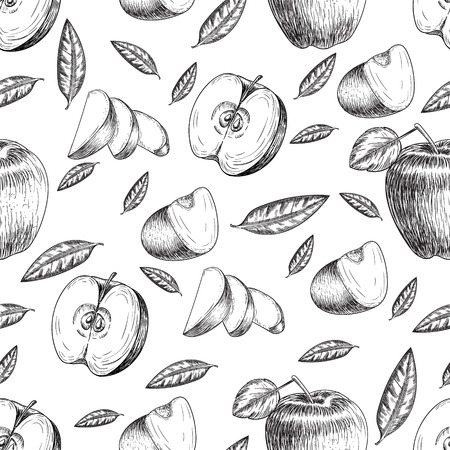 Seamless of  apple. Vintage sketch style illustration. Organic eco food. Whole , sliced pieces half,leaves and flowers leave sketch. Fruit engraved style illustration.のイラスト素材