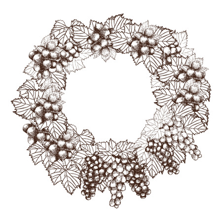 Vector design of Bunch grapes sketch style vector illustration. Old engraving imitation. Hand drawn sketch imitationのイラスト素材