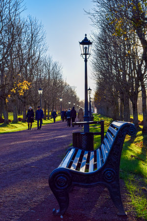Park bench in the center.の写真素材