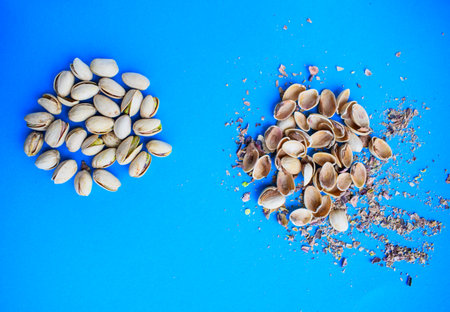 Pistachio Shells Versus Whole Pistachios on Blueの写真素材