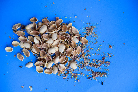 Pistachio Shells and Crumbs on Blue Backgroundの写真素材