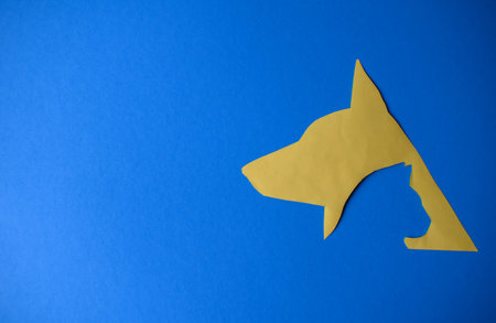 The Unbreakable Bond of a Dog and Catの写真素材