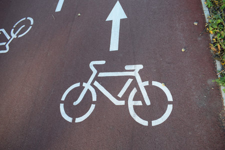 Bicycle sign on the road in the park, bicycle lane.