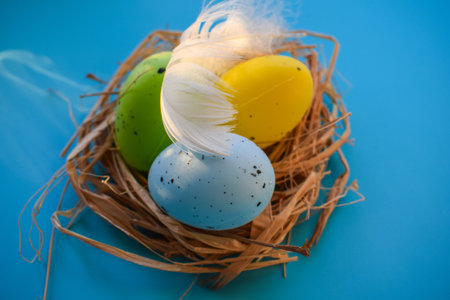 Colorful easter eggs in nest on blue background. Happy Easter