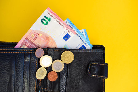 Financial Security Concept with Wallet